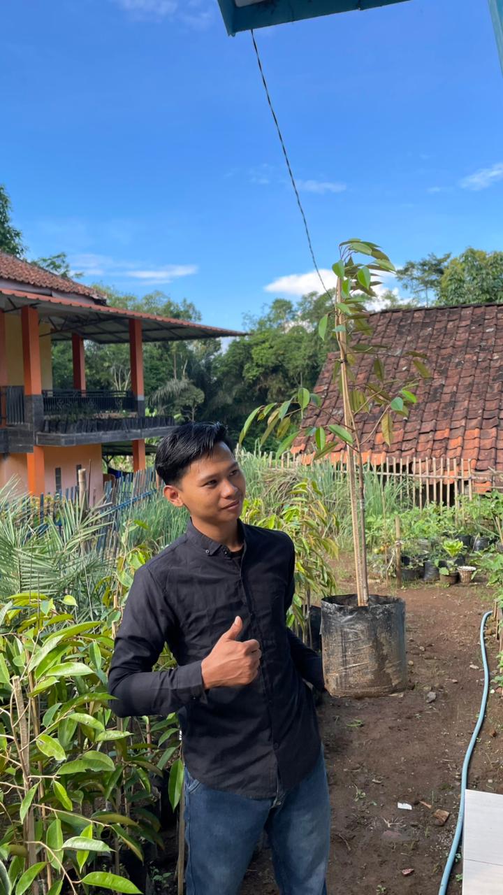 Bibit Durian Duri Hitam